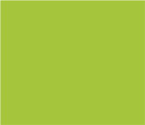 3M SC80-449 Blank Lime Green